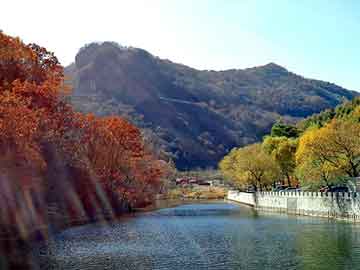 澳门二四六天天彩图库，地下王朝小说